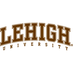 Lehigh Mountain Hawks Wordmark Logo 2003 - Present